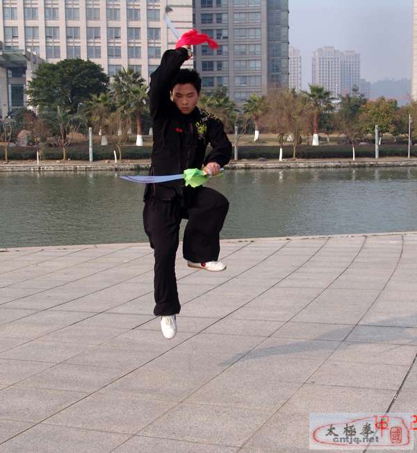 捷克拳友温州陈卫生太极拳馆学习交流 - 第4页