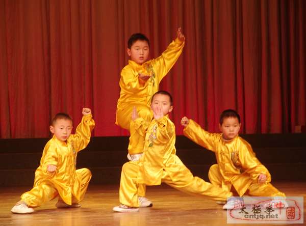 陈卫生太极拳馆参加温州市武协年会 - 第2页 - 