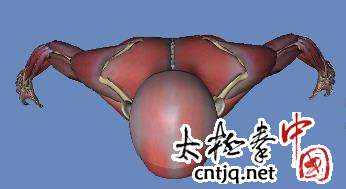关于走出太极拳运动的误区的专科毕业论文范文