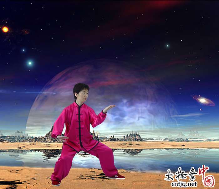 中国太极拳网_温县武术协会,陈家沟太极拳研究