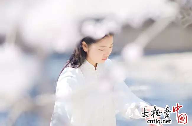 中国太极拳网_温县武术协会,陈家沟太极拳研究