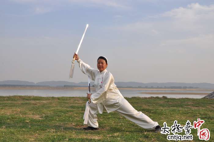 中国太极拳网_温县武术协会,陈家沟太极拳研究