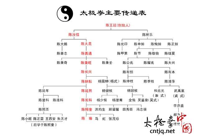 杨式太极拳学习的三字真言
