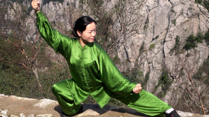 中国太极拳网|温县武术协会|陈家沟太极拳研究