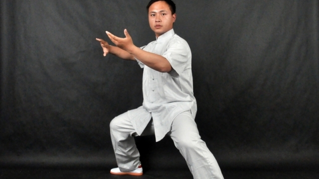 中国太极拳网|温县武术协会|陈家沟太极拳研究