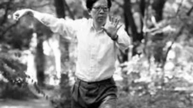 初练太极心得——王龙