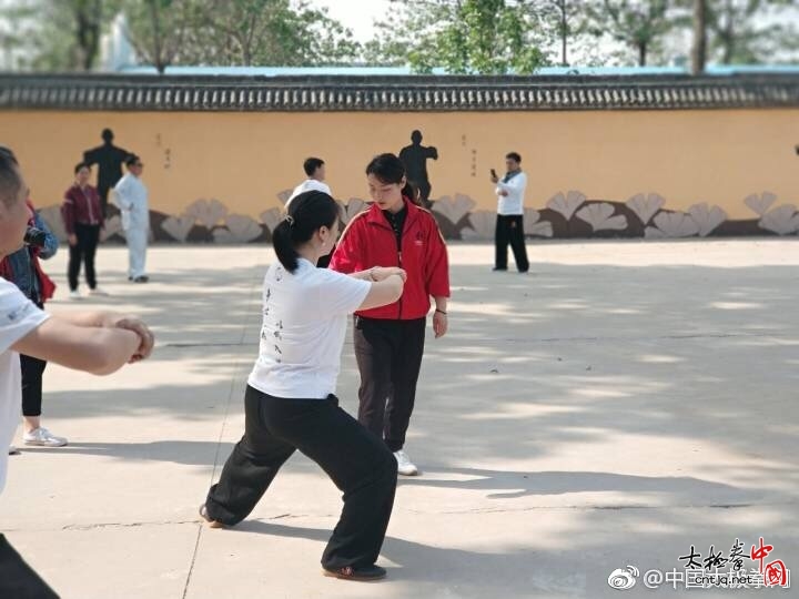 【探班】王战军五一太极拳培训班进行中