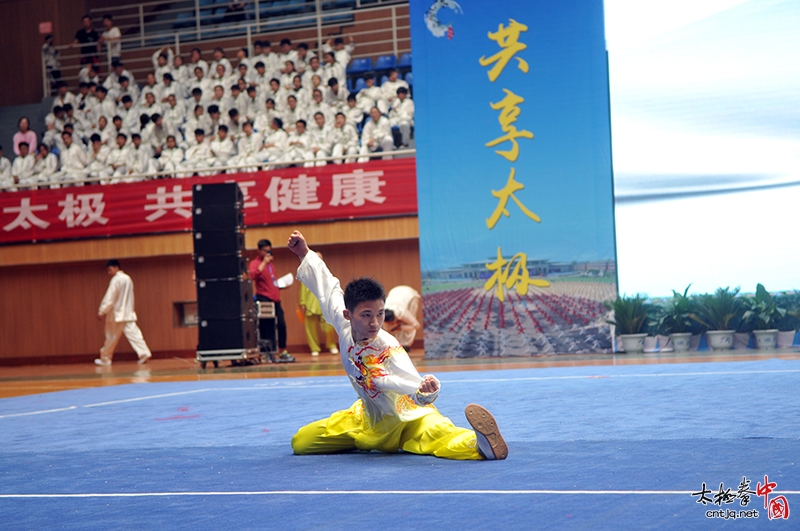 2018中国旅游日温县分会场·太极拳展演图集