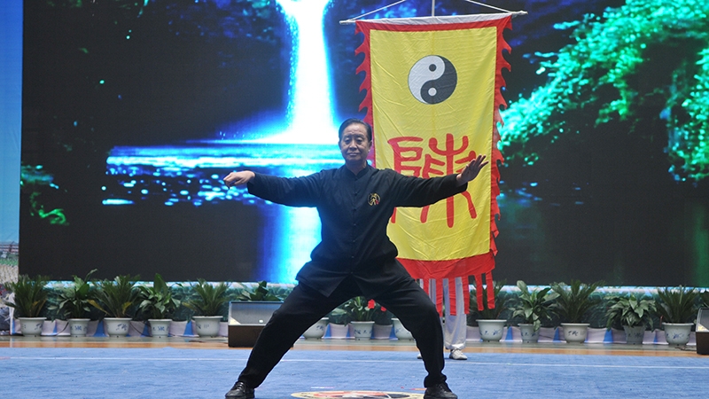 朱天才大师在中国旅游日·河南分会场暨文明旅游活动上精彩演练太极拳