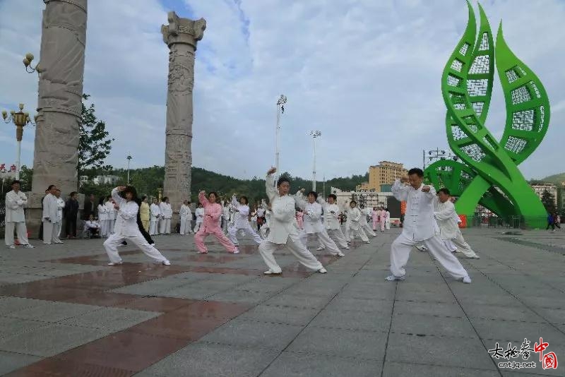 商南县武术太极拳协会隆重成立！