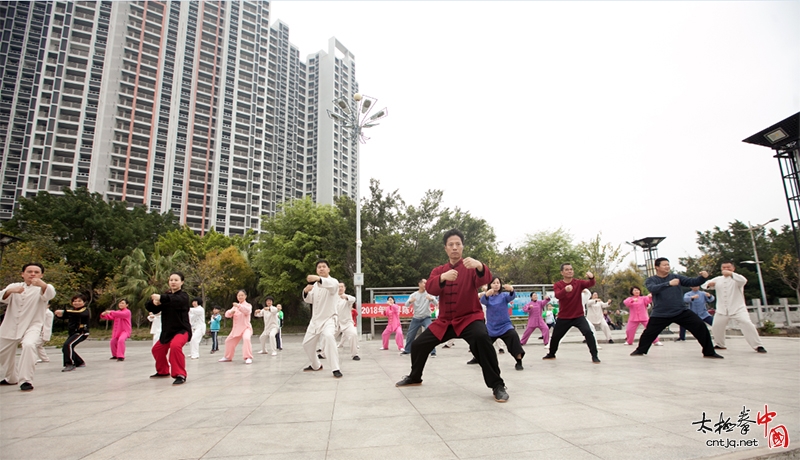 太极名家——韩建民