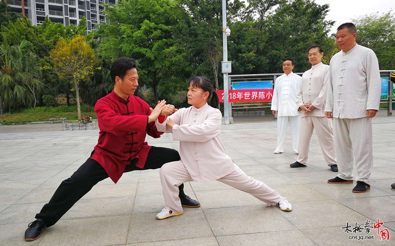 太极名家——韩建民