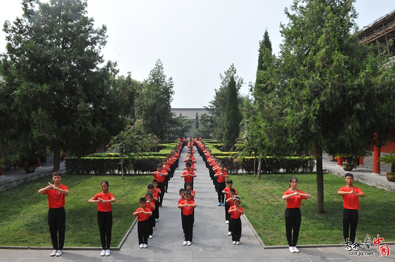 走进太极拳发源地陈家沟，感受太极拳魅力——辛强太极拳学校感悟太极文化之旅