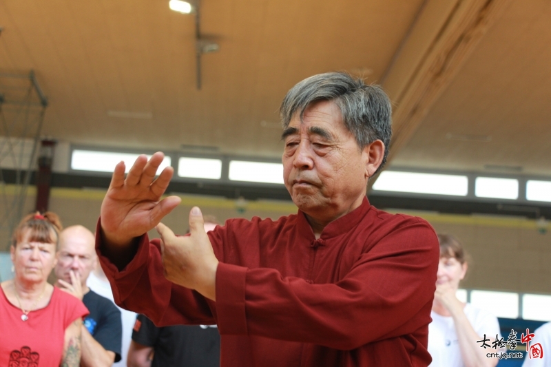 陈小星大师"欧洲国际太极拳训练营"在-斯洛文尼亚盛大开启!