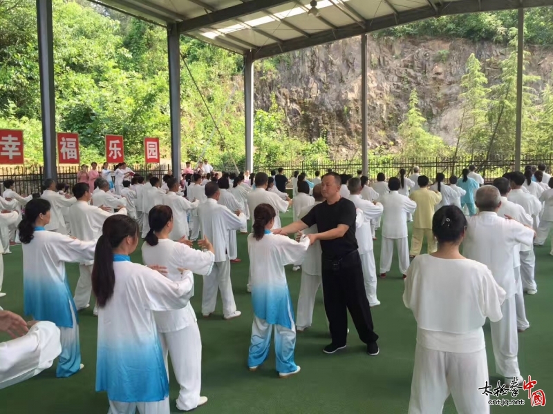 【通知】太极名家陈冲·十一·老架一路暨推手高级培训班