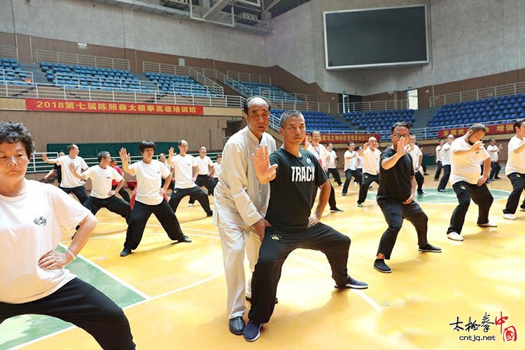 2018年第七届陈照森太极拳高级培训班于陈家沟圆满结业