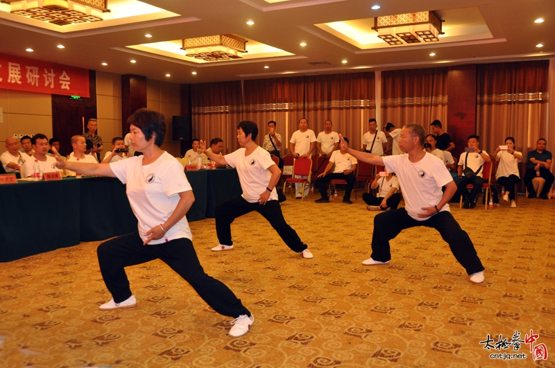 千名拳师走进陈家沟—2018朱老虎太极理论传承暨体系发展研讨会顺利召开