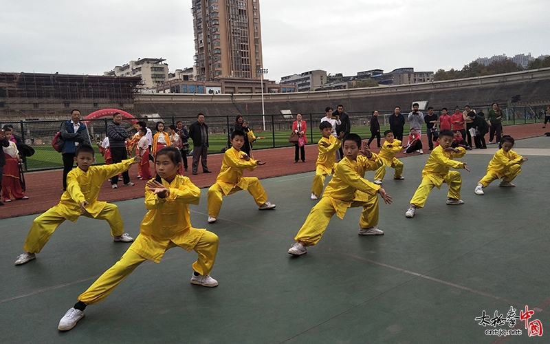 张福旺太极拳馆鄂州、华容分馆在鄂州市2018年第十六届全民健身运动会武术大赛中斩获骄人成绩