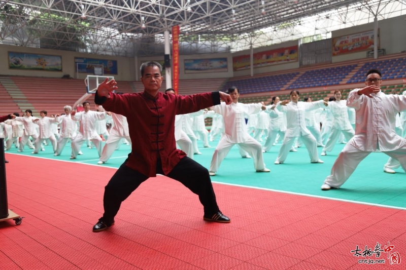 广西柳城卷起太极拳风