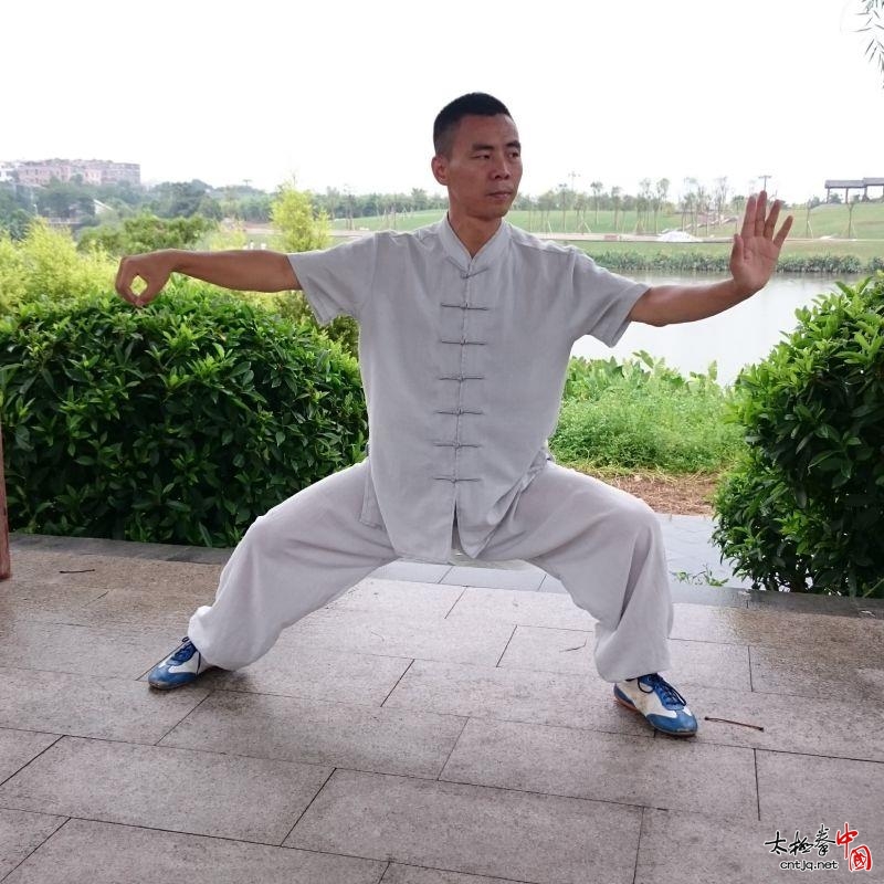 盛世太极人——王景源