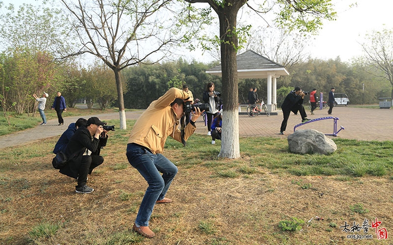 一场太极与摄影的约会