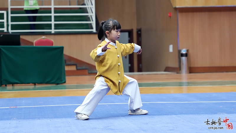 陈家沟第一届“王廷杯”太极拳公开赛暨温县二十四届太极拳、械、交手锦标赛开幕仪式隆重举行！