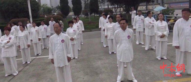 商南县武术太极拳协会成立一周年庆典圆满举行