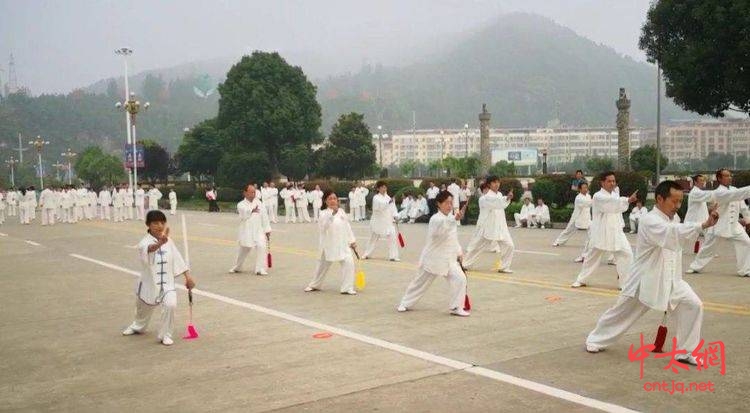 商南县武术太极拳协会成立一周年庆典圆满举行