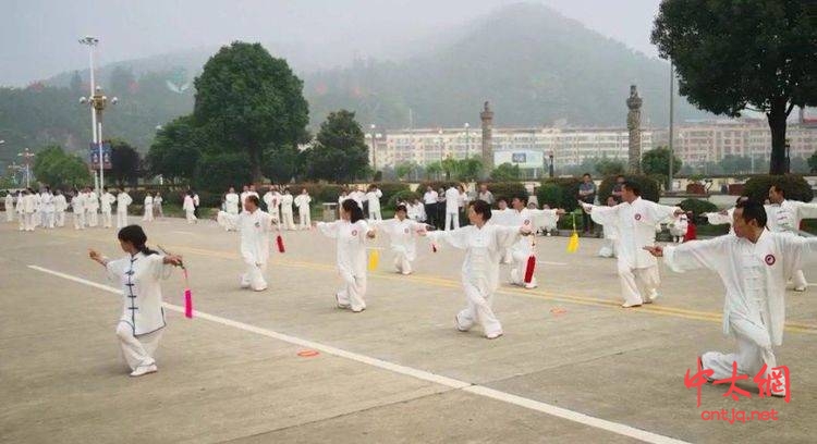 商南县武术太极拳协会成立一周年庆典圆满举行