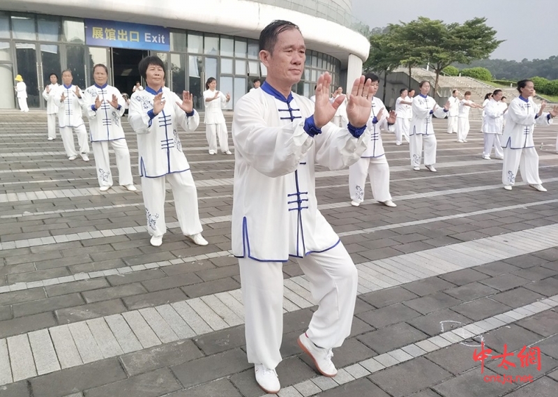 花都“武”开太极花