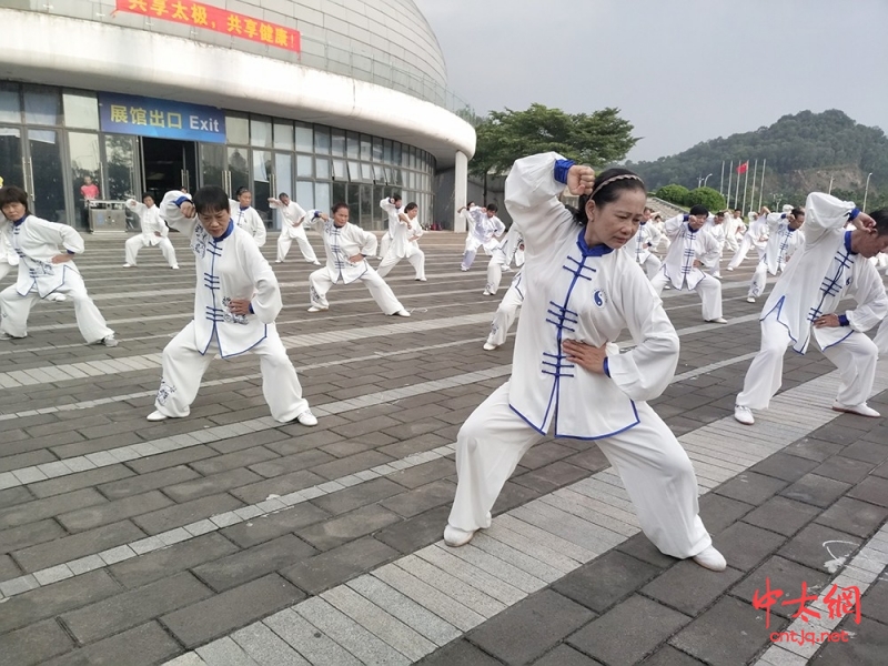 花都“武”开太极花