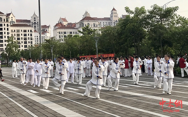 2019“一带一路”太极行走进（广州站）花都“武”开太极花