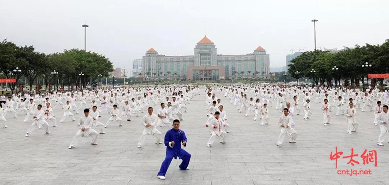 陈志强：扎根花都二十余载，孜孜不倦传播太极拳