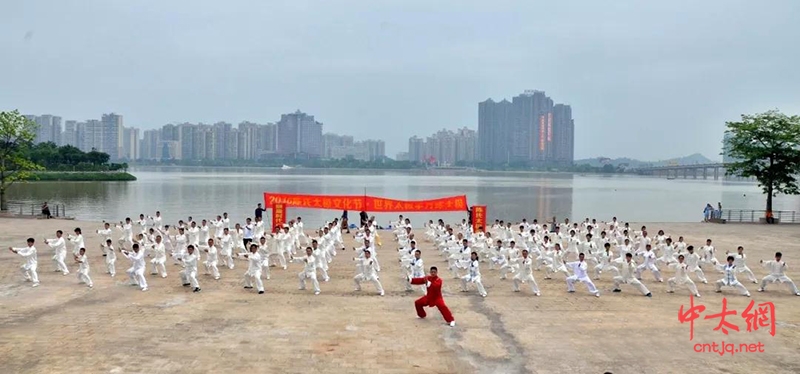 陈志强：扎根花都二十余载，孜孜不倦传播太极拳