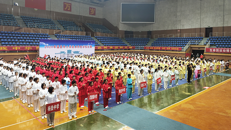 聚焦太极圣地｜2020年温县中小学武术特色学校比赛在陈家沟举行