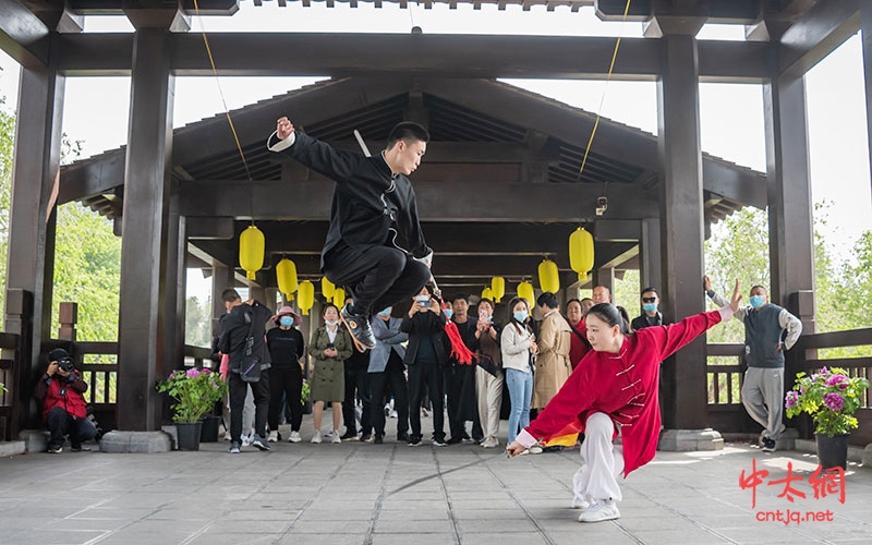 记温县陈家沟太极拳推广中心洛阳王城公园采风活动