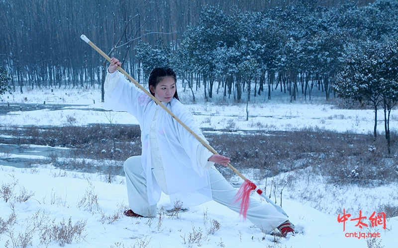 太极女侠乔莲洁功夫瞬间