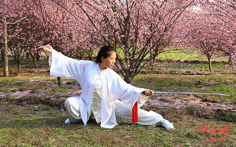 太极女侠乔莲洁功夫瞬间