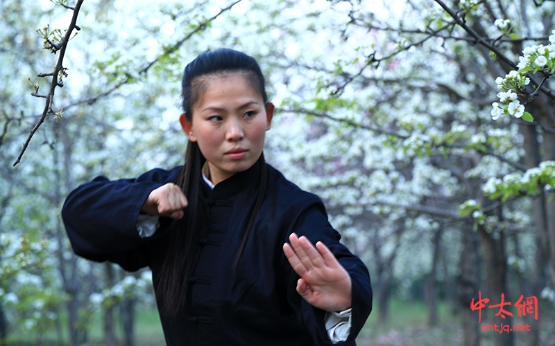 太极女侠乔莲洁功夫瞬间