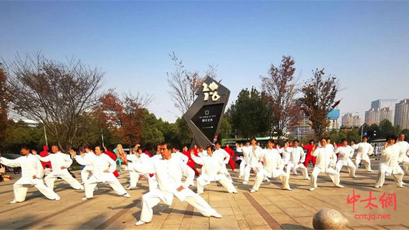 高荣军：参观杭州太极禅苑记