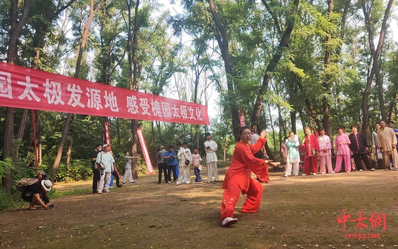 走进槐园太极 感受太极文化