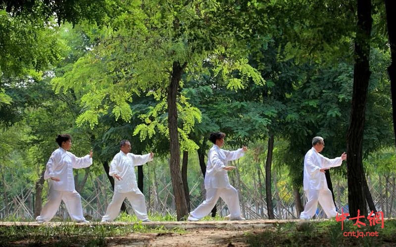 第二届宁夏贺兰山东麓国际葡萄酒文化旅游节暨2022年“塞上灵秀地 魅力石嘴山”首届太极拳文化旅游节活动将于9月13日启幕！