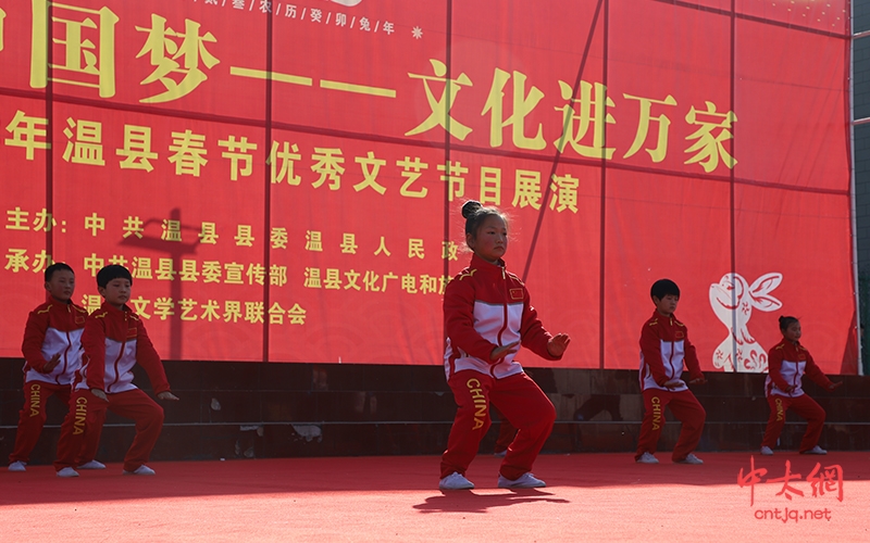 我们的中国梦 文化进万家——2023年新春焦作市武术太极拳展演活动圆满举行