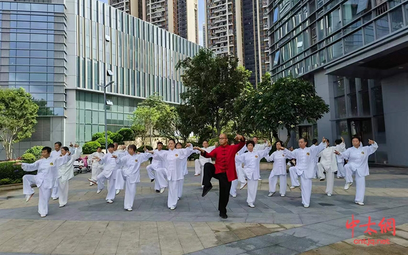 2023年龙秀文老师在深圳举办陈式太极拳培训圆满成功