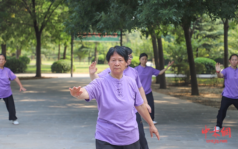 湖南浏阳永安太极拳协会一行十余人寻根问祖陈家沟