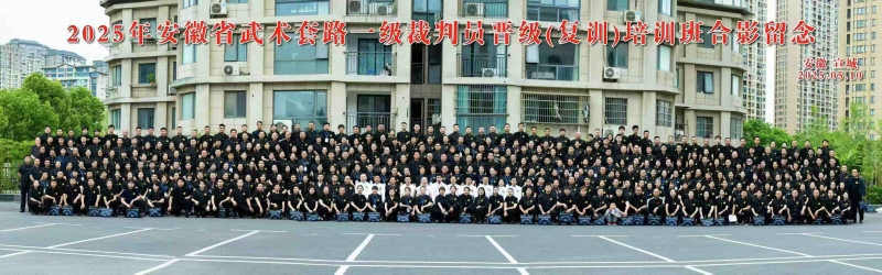 太极名家陈飞晋升“国家武术（套路）一级裁判员”