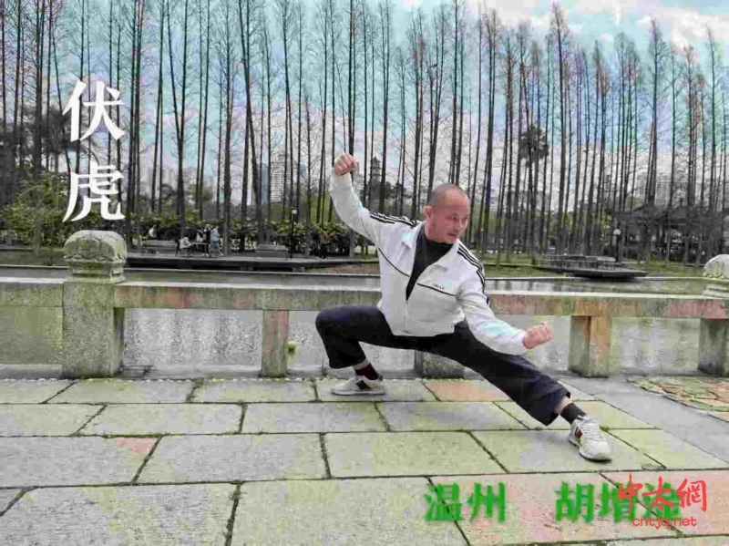 陈氏太极拳传承人——胡增淦