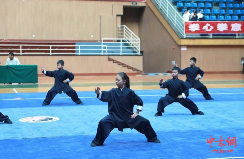 温县第五届武术锦标赛圆满举办