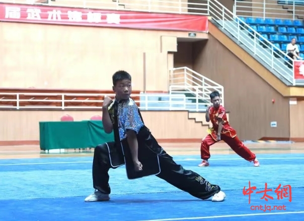 温县第五届武术锦标赛圆满举办