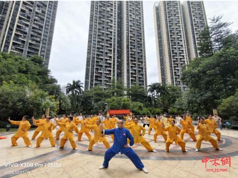 深圳市龙岗区坂田街道陈式太极拳培训班圆满举办